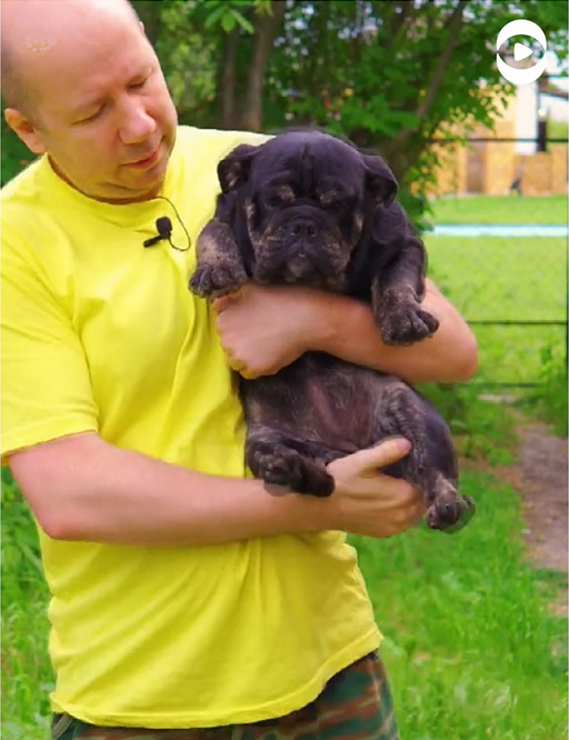 Такой трогательно нежной и забавной я впервые увидела свою Боню