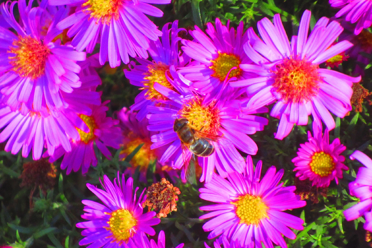 Фото Марины Романовой 