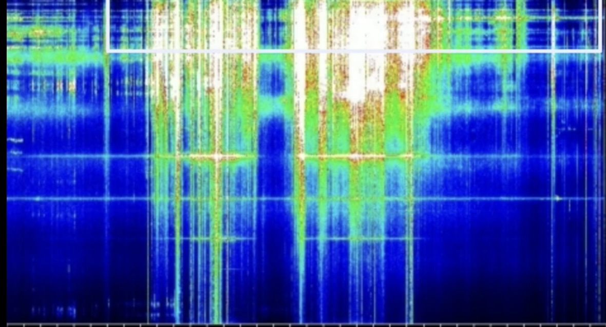 Фото из социальных сетей 
