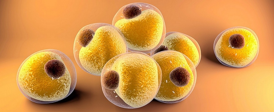 Она способствовала повторному набору веса