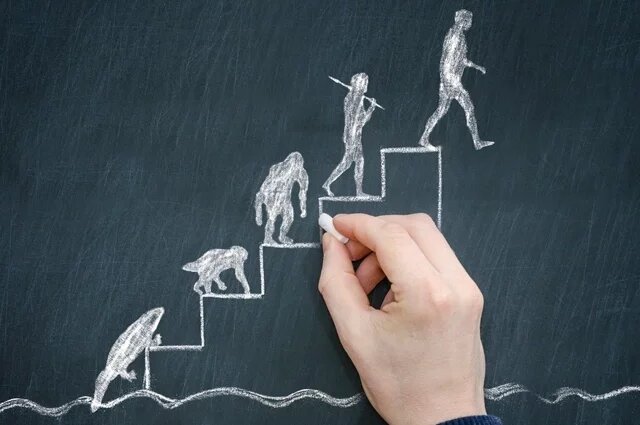    Чем неандерталец отличается от кроманьонца?