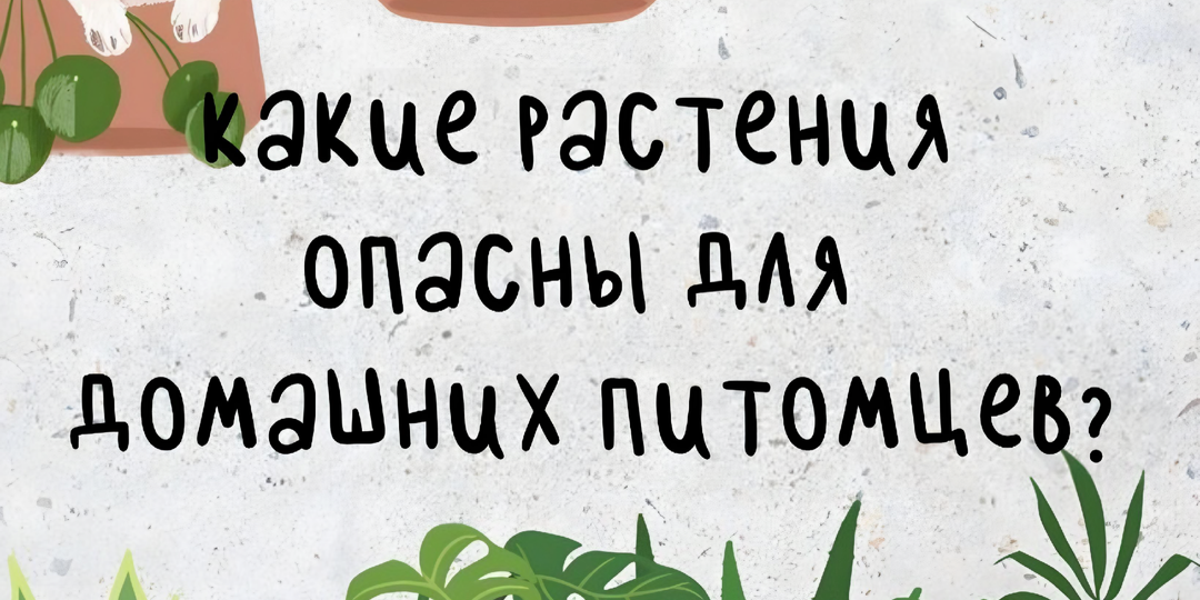 Отравление питомцев комнатными растениями