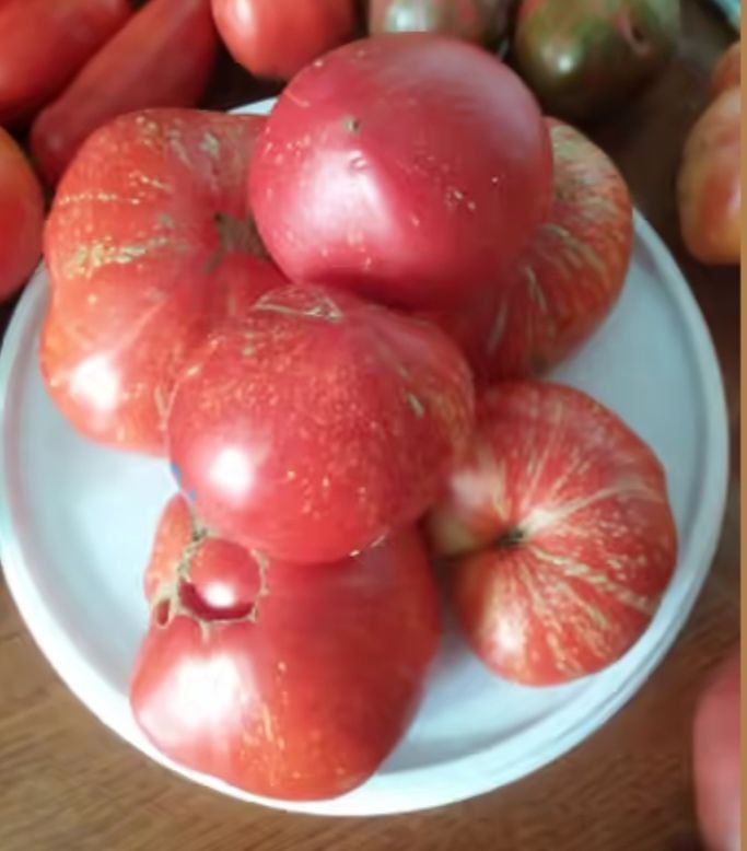 Каскад лава