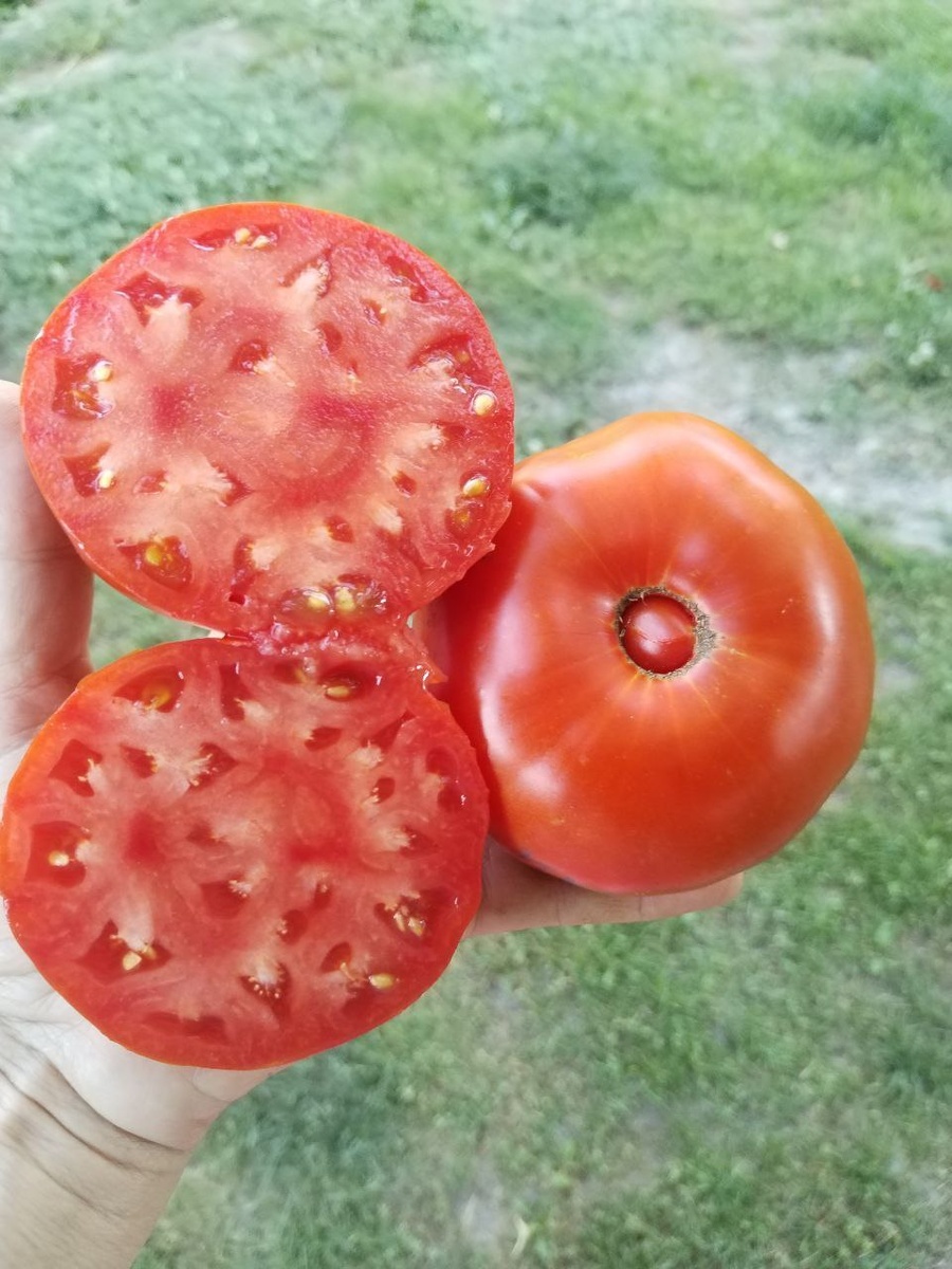 Радиатор Чарли