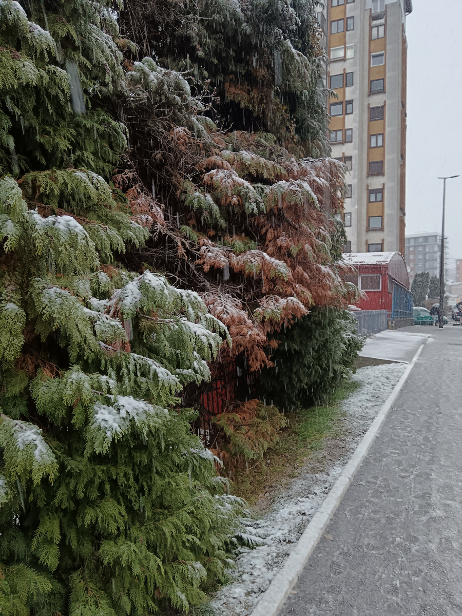Снегопад вчера был в Ужице.