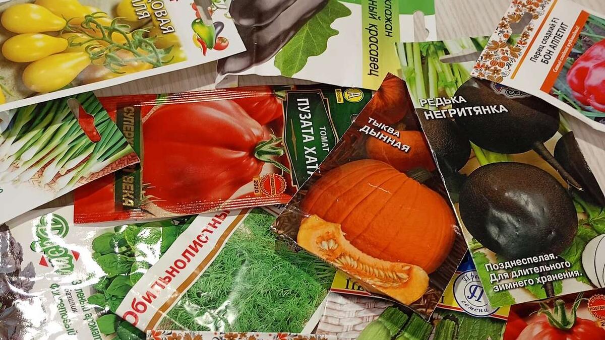 Что посеешь – то и пожнёшь. Фото: Елена Майорова