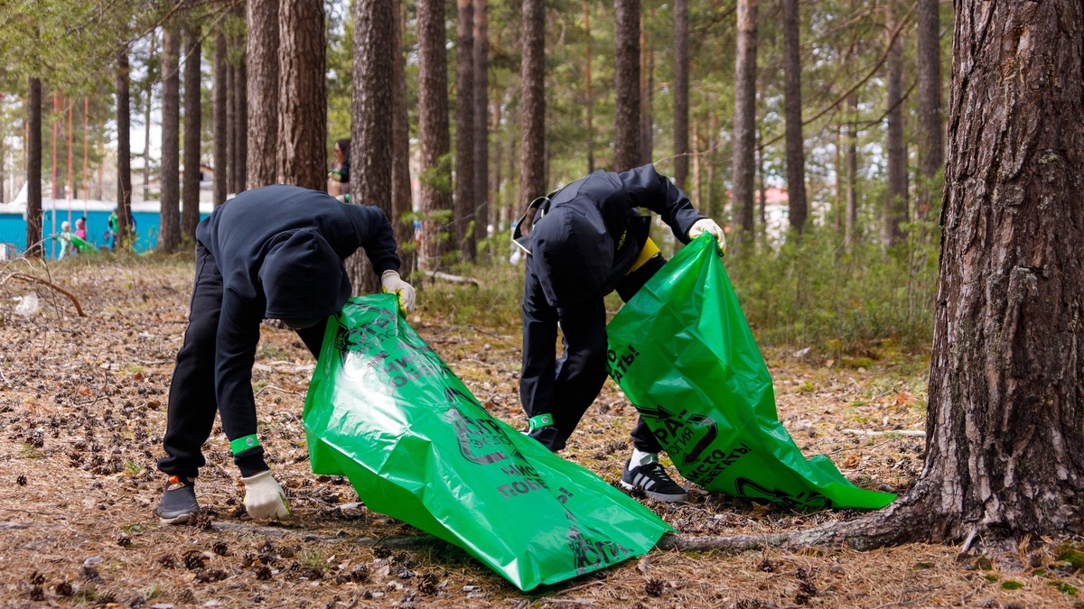    Эковолонтеры Сургутского района ликвидировали 47 свалок