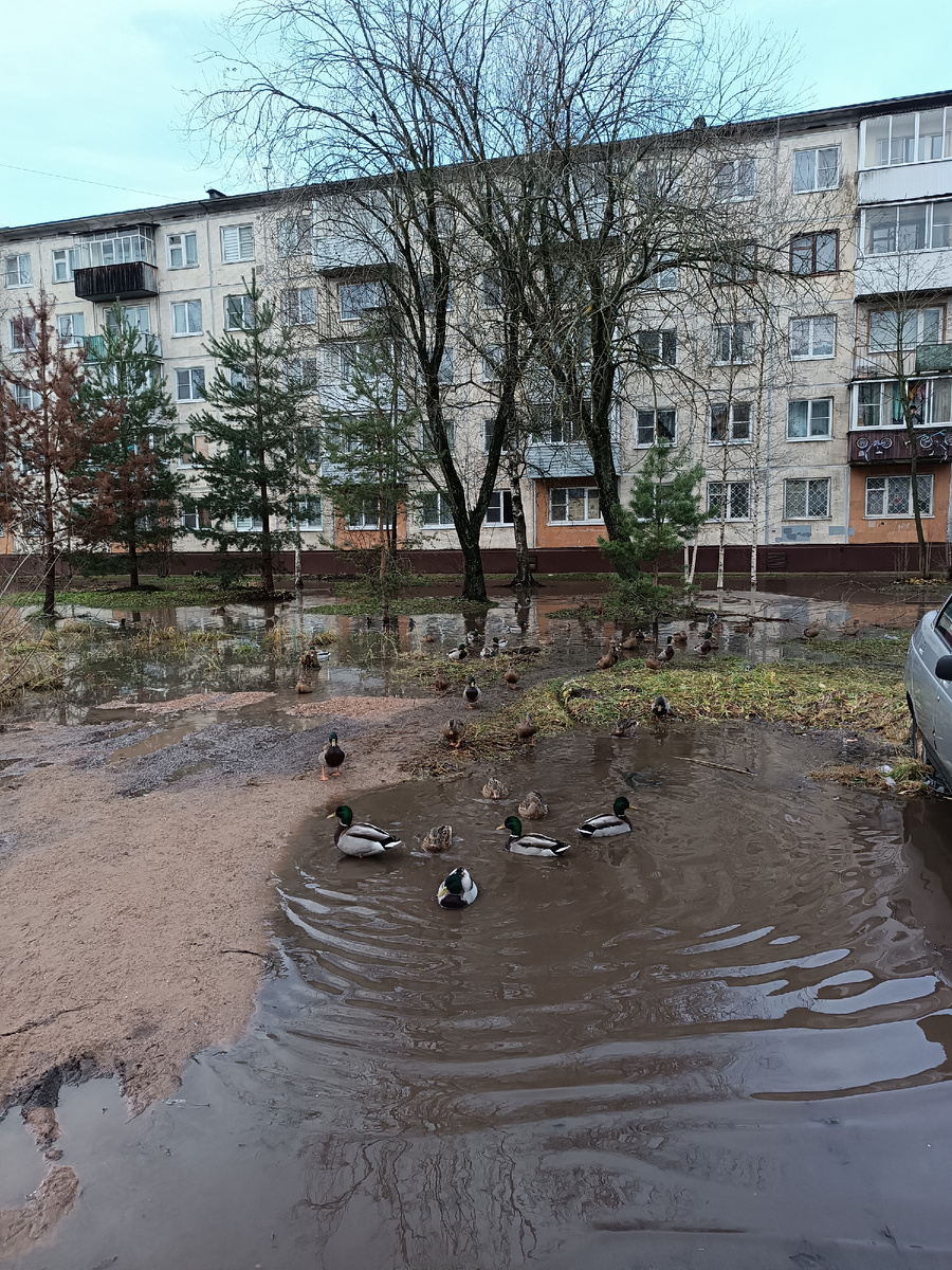 Фото автора канала 