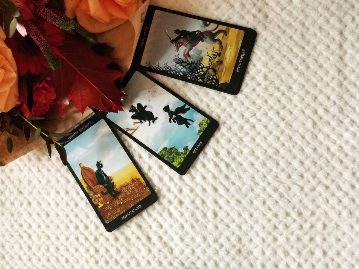 Фото Марии Новиковой.