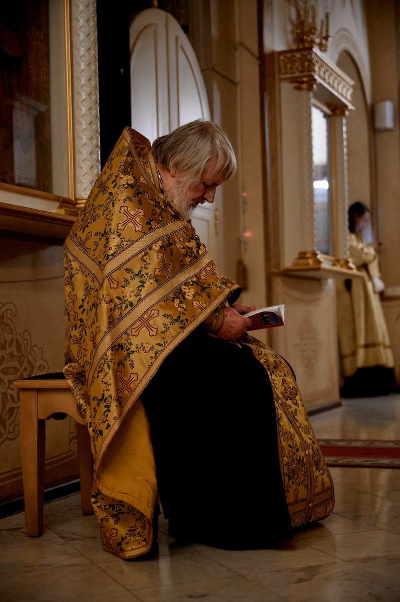 Фото Алексея Симонова.