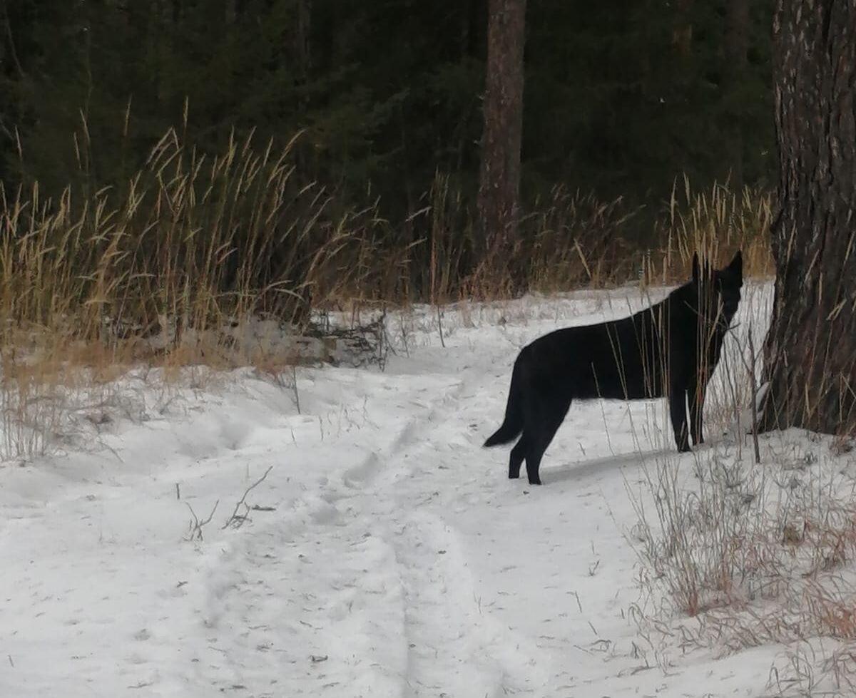 Зося. из личного архива