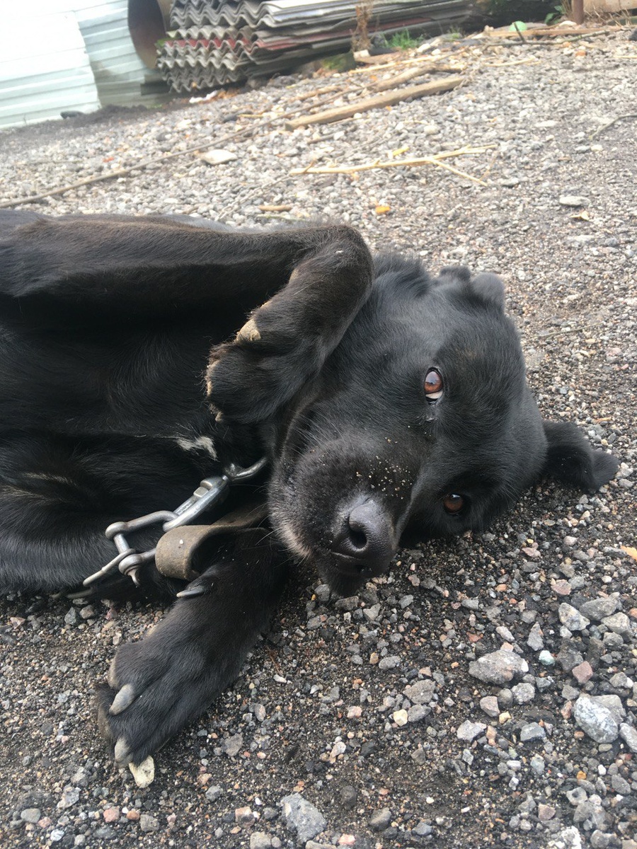 Фото из той, цепной жизни....