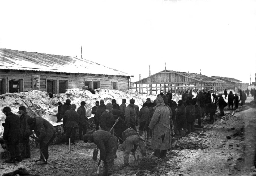 Фото с открытых источников 