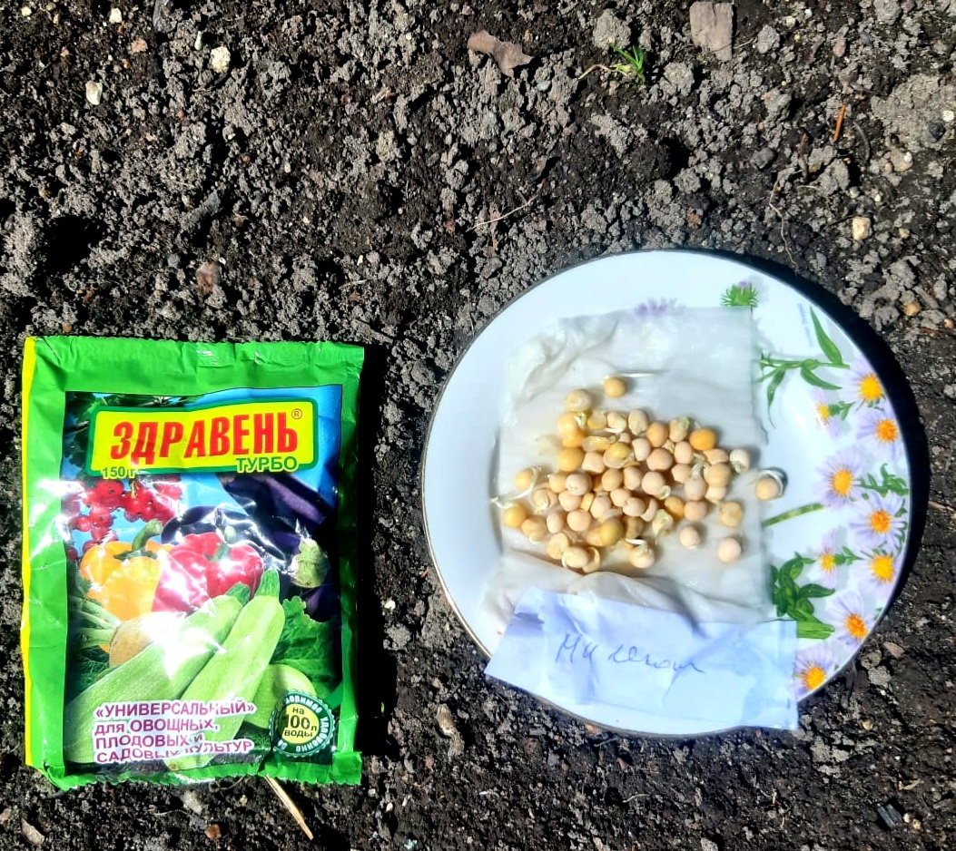 Фото автора. 