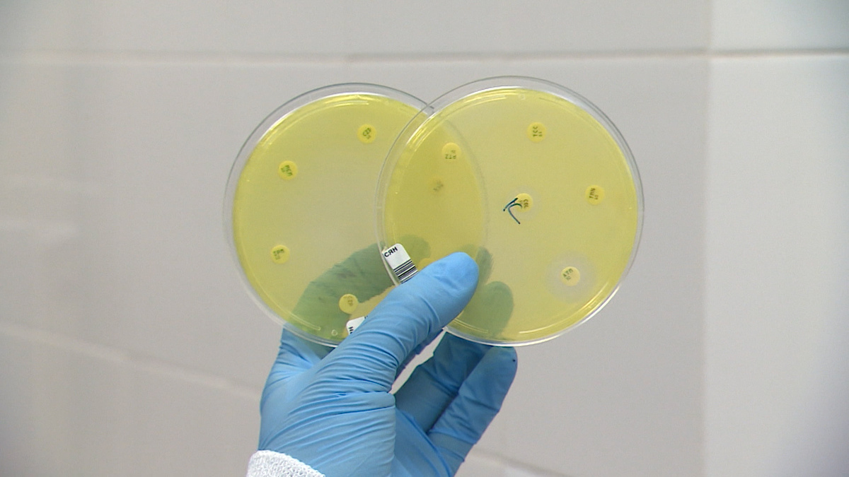    Фото: телеканал «Санкт-Петербург»