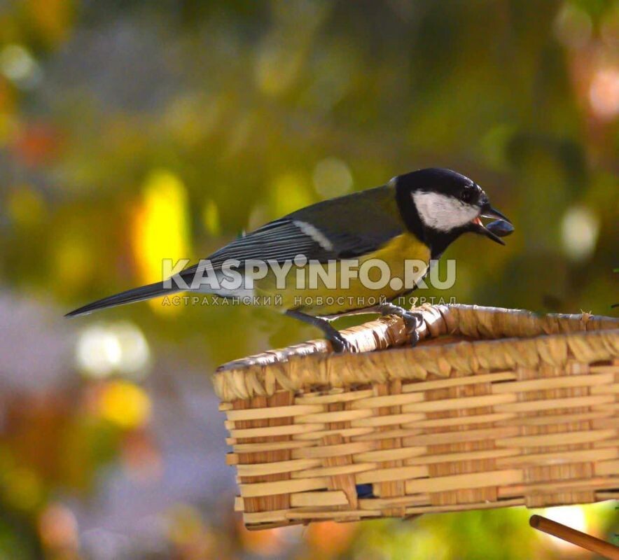 Фото: Л. Филоненко