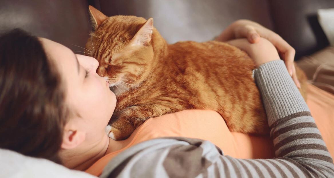 Источник: Яндекс картинки