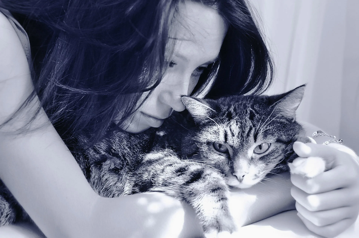 яндекс картинки