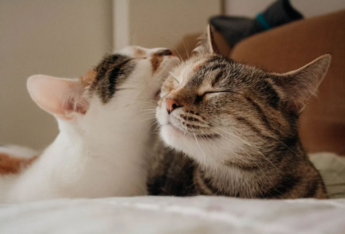 Источник: Яндекс картинки