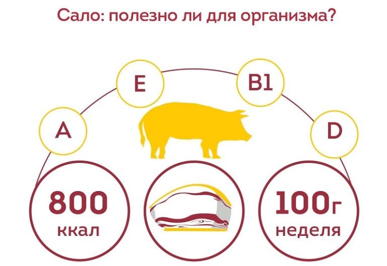    Снижает тягу к сладкому: В Роспотребнадзоре рассказали о пользе сала в период холодов Марина Шарт