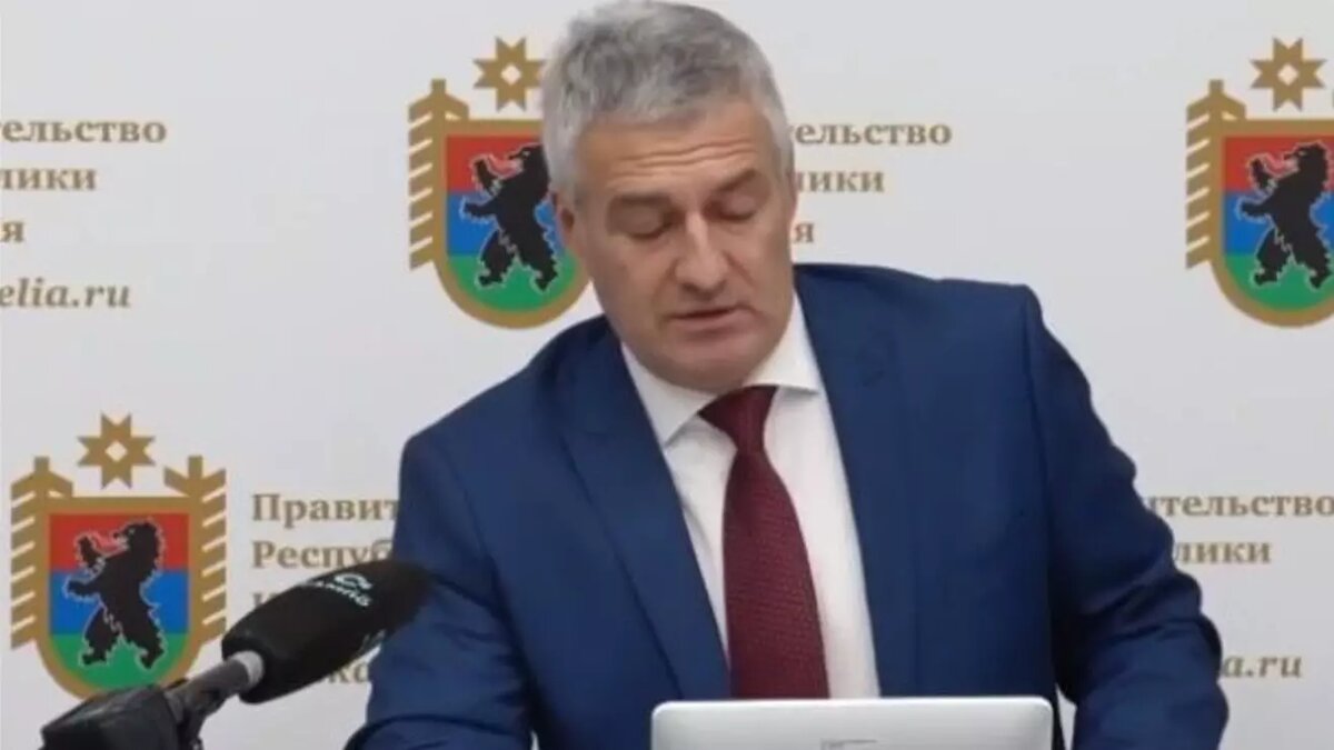     Источник: Скриншот трансляции заседания правительства Карелии