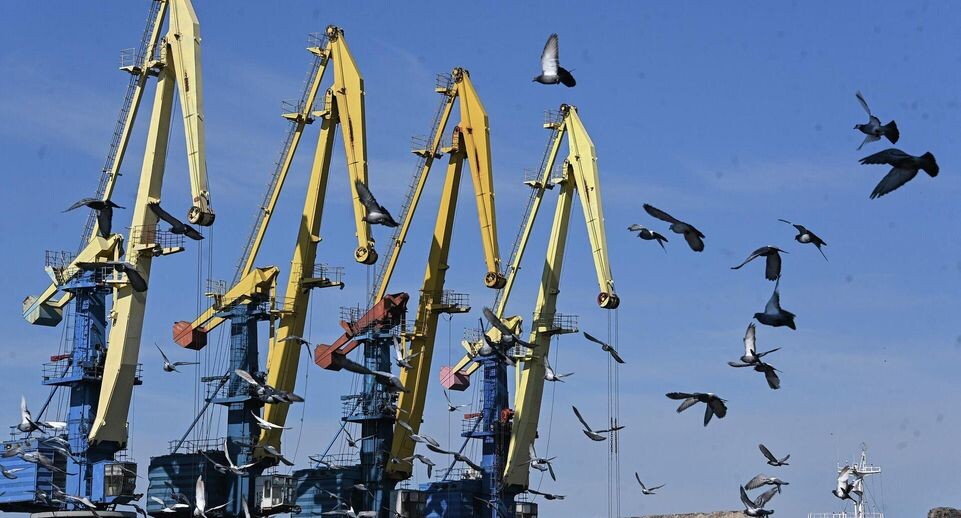    РИА «Новости»