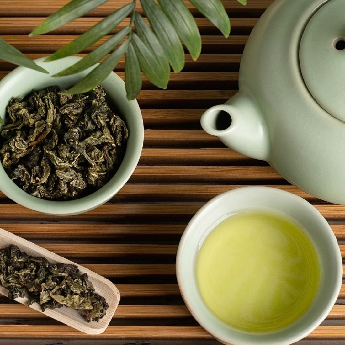 «Живой» чай: почему диетолог Соломатина призвала пить молочный улун