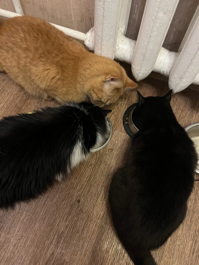 Уже никто никого не хочет отметелить.