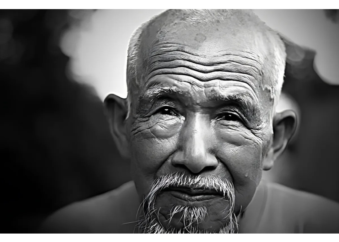 Фото из интернет 