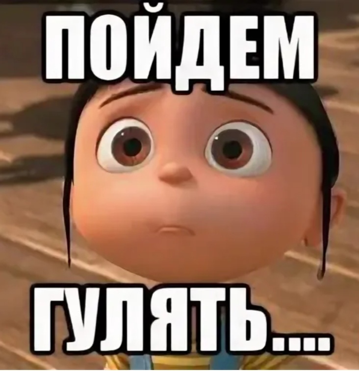 Пошли гулять прикол. Идем гулять. Попозже пойдем гулять. Идем гулять. Попозже пойдем гулять.