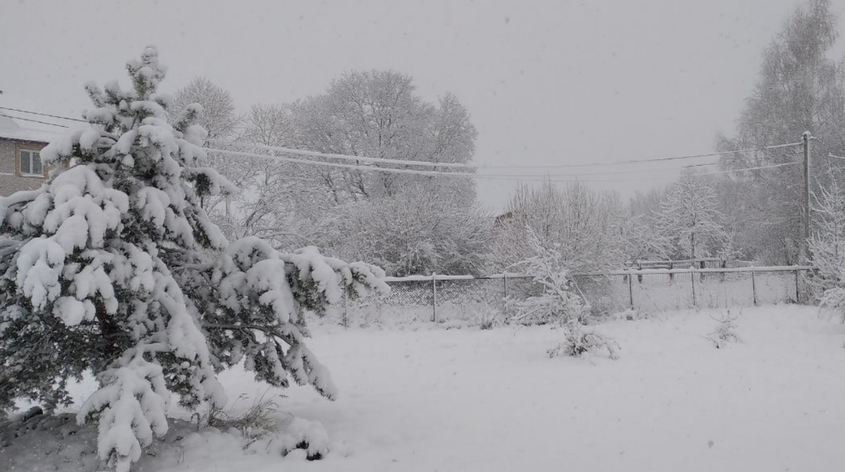 Вид с моей террасы. И это еще не особо заснеженные провода. Есть места и похуже. Снег Вид с Вид с моей террасы. И это еще ничего провода. Есть и похуже. Снег продолжает валить 