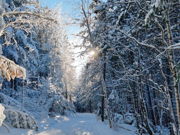   МК в Бурятии