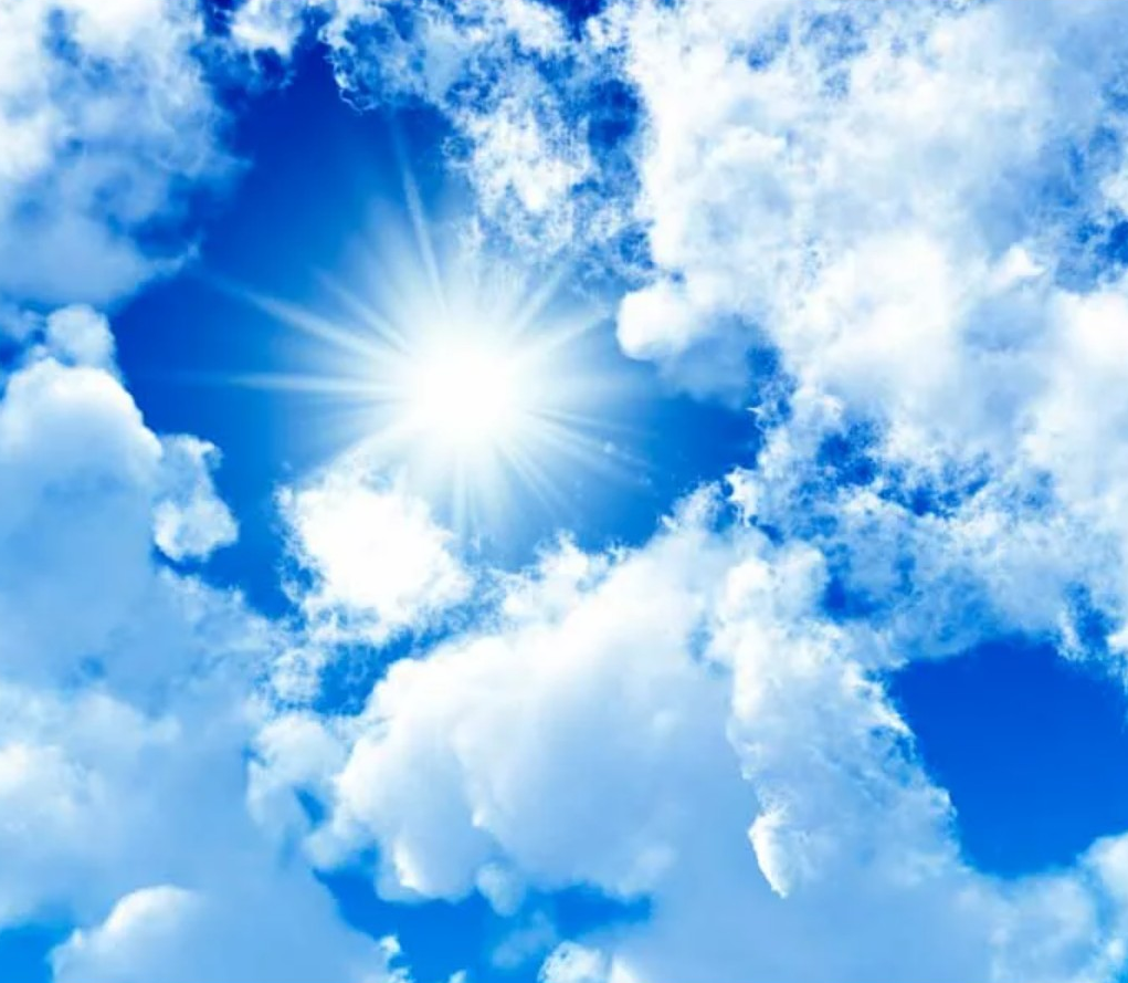 Взято из свободного доступа в интернете.