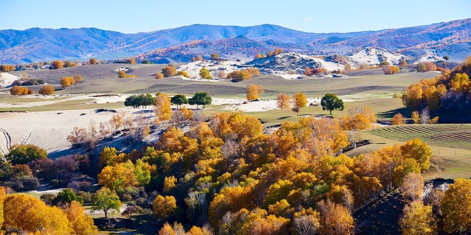 Фото: 123RF/bigtree777