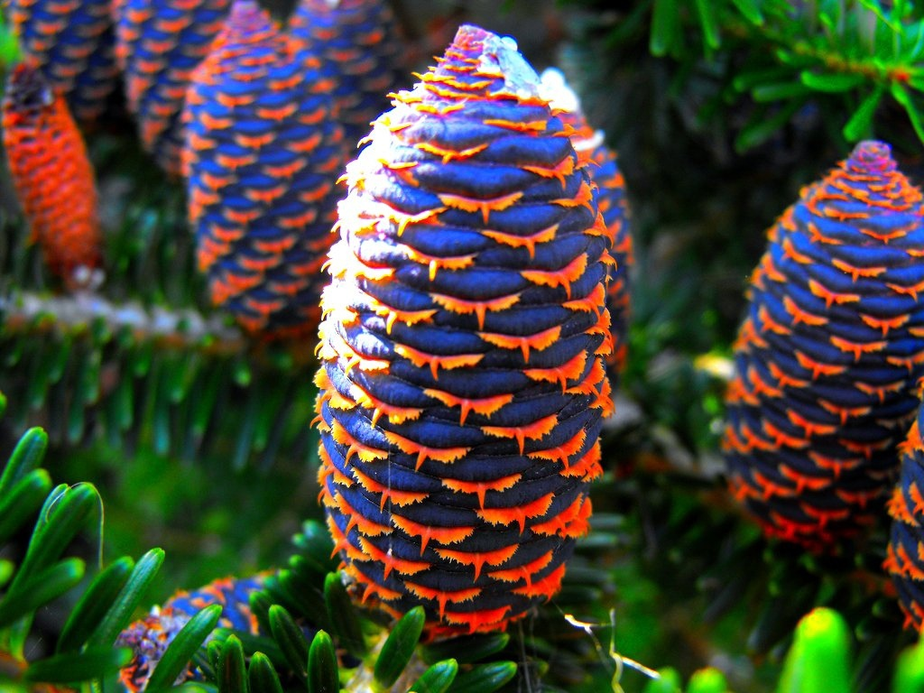 �����?... ��� �������?...