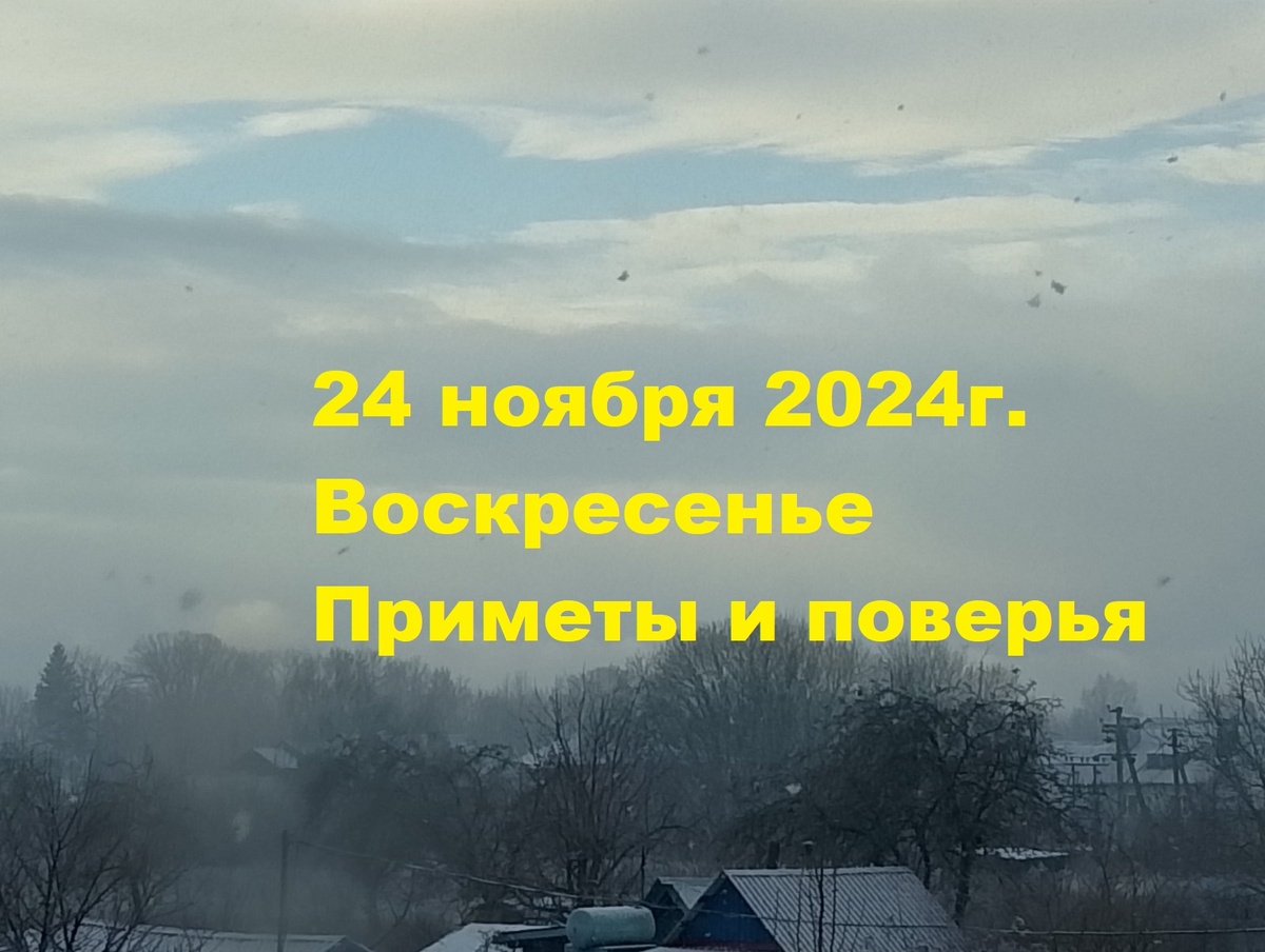 И у нас выпал снег. ( 23 ноября 2025)