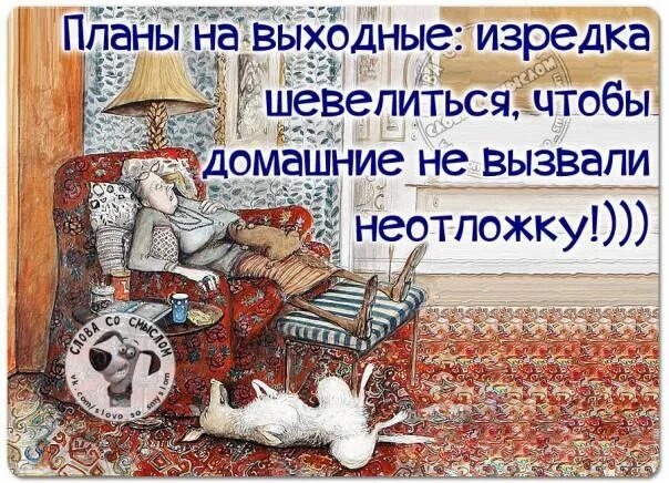 Фото взято из открытого источника