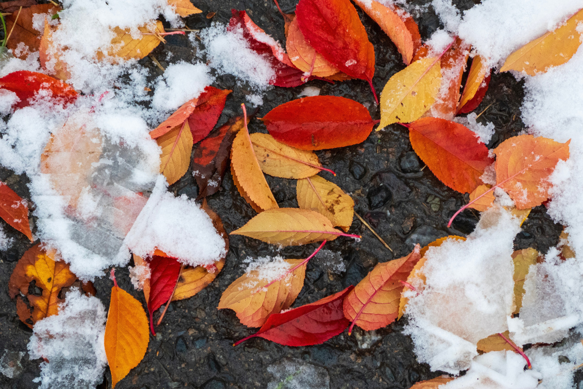    Фото: LB_user / Shutterstock.com/