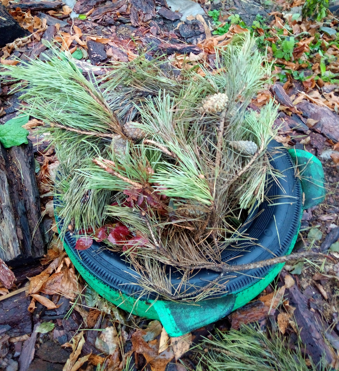Патриот готовится к зимовке
