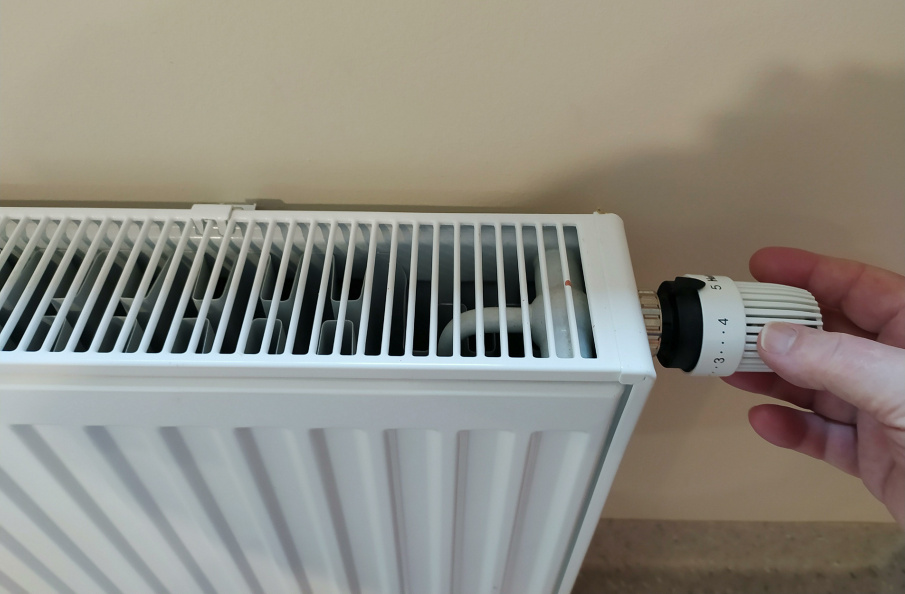    Фото: Victor Lisitsyn/Globallookpress