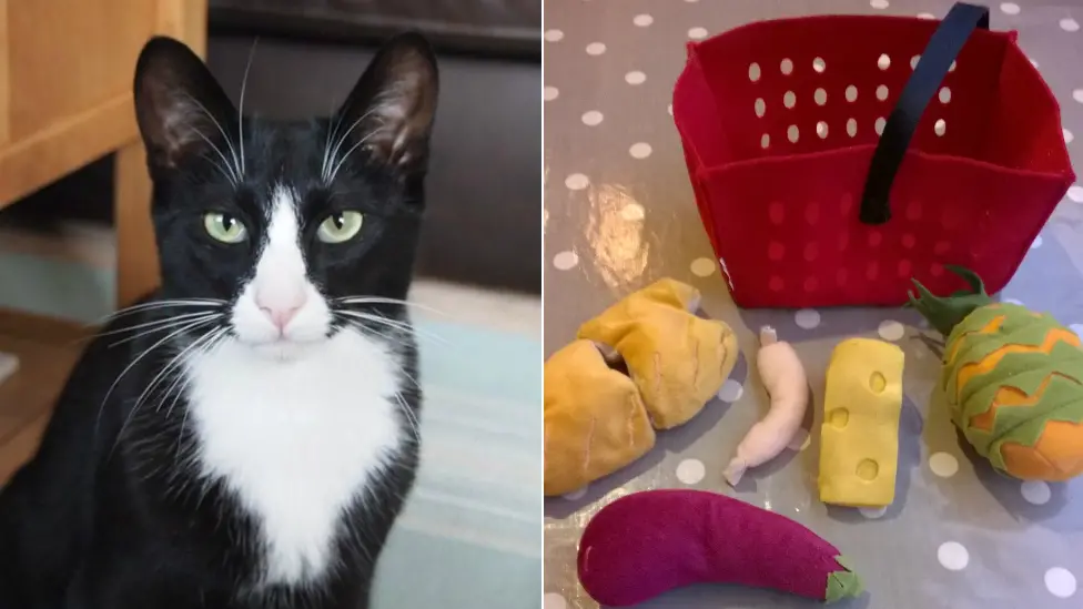 Фото: Rachael Drouet