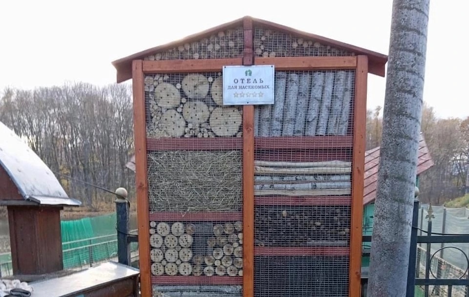 Отель “5 звезд”
Отель “5 звезд”
Отель “5 звезд”
Отель "5 звезд"