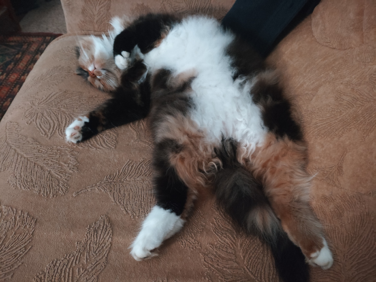 Завидую страшной завистью....