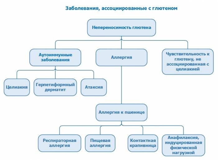 Клиническая картина целиакии очень многообразна, а ее проявления иногда воспринимаются как состояния, не связанные с глютеновой непереносимостью.