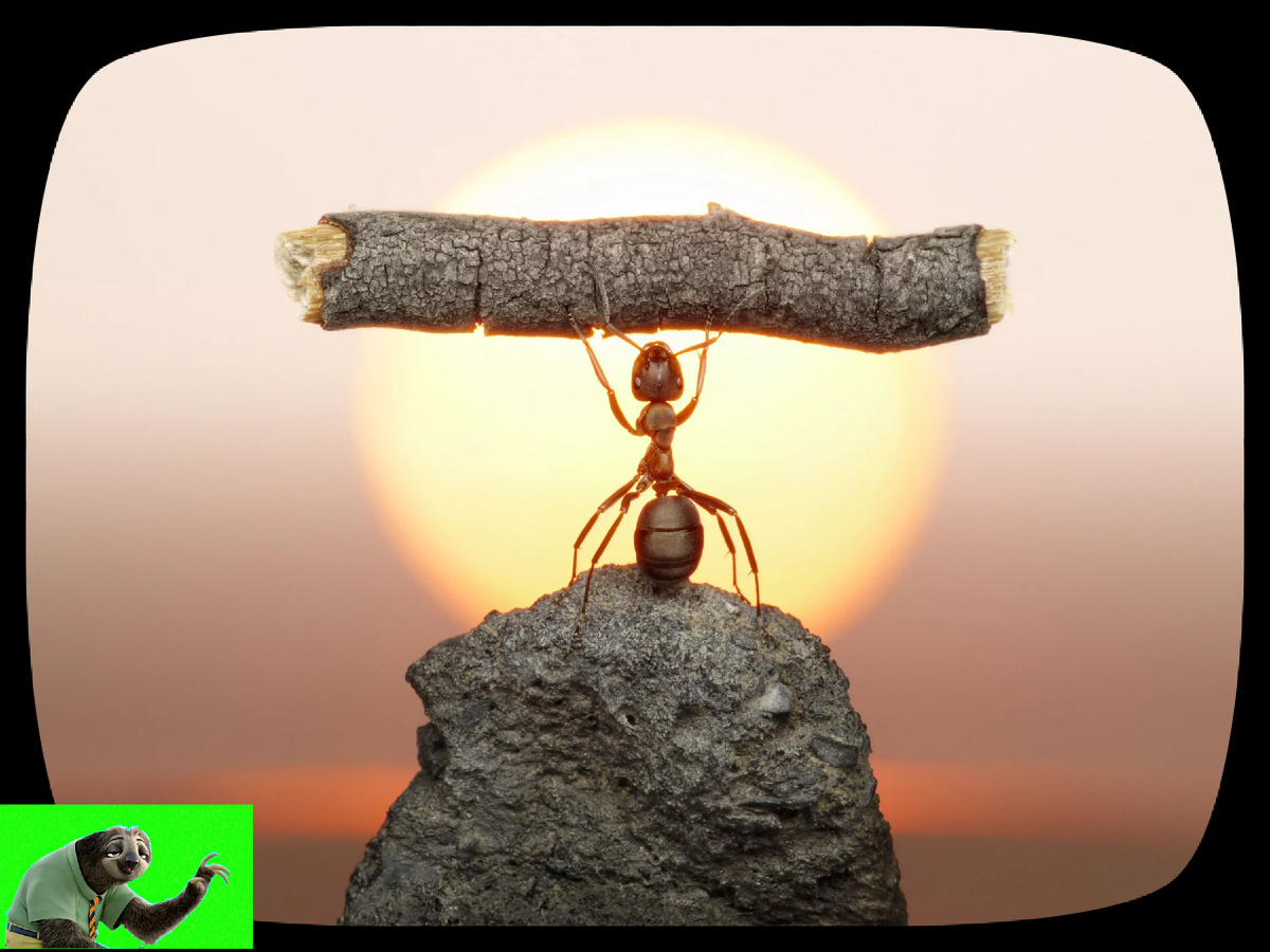 Взято из открытых источниковв с целью иллюстрации