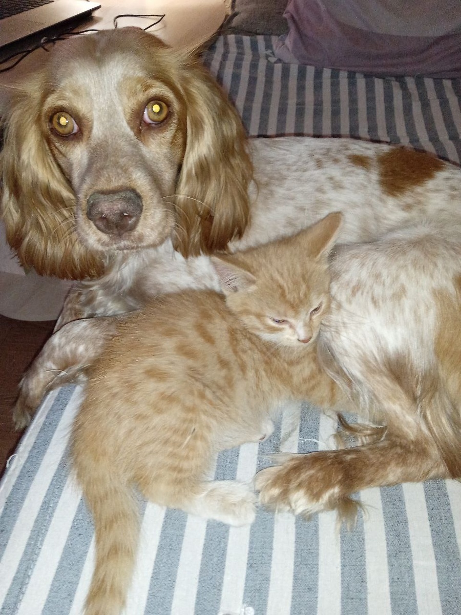 Ева и Златик