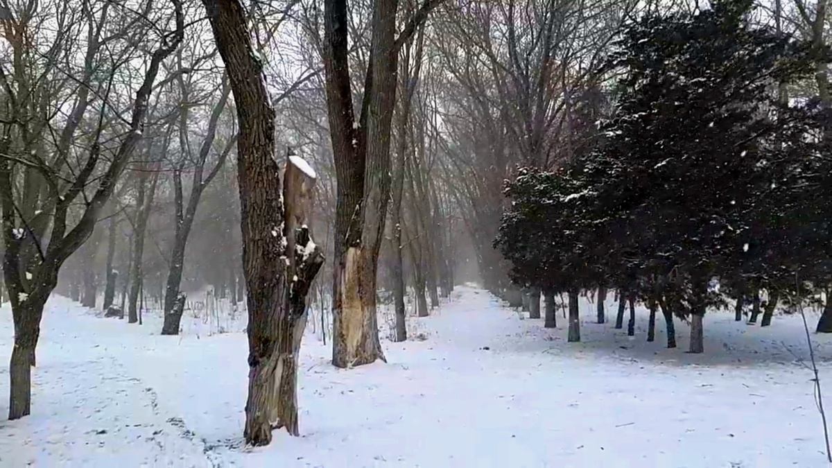 Евпатория зимой 