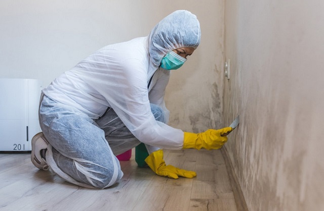 Фото с сайта create.vista.com