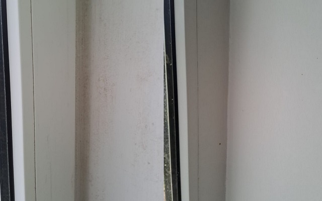 Откос до и после обработки уксусом