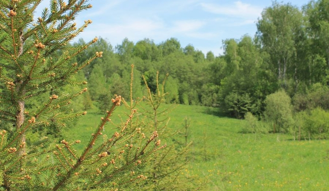 Участок в коттеджном поселке Дарьино